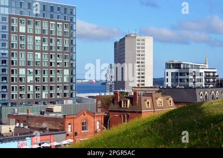 Stadtbild im Zentrum von Halifax vom Citadel Hill in Nova Scotia, Kanada, mit Sutton Place Hotel, Maritime Centre und Halifax Harbour. Stockfoto