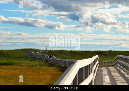 Promenade zum Conrads Beach in Lawrencetown, Nova Scotia, Kanada Stockfoto