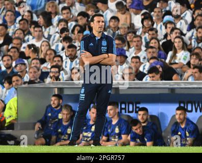 23. März 2023: Belgrano, Buenos Aires, Argentinien: International Football Friendly, Argentinien gegen Panama: Trainer Lionel Scaloni von Argentinien Stockfoto