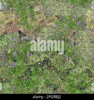 Nahtlose Wandtextur mit Moos dekoriert. Endloses Waldmoosmuster. Nahtlos strukturierter grüner moosiger Stein. Stockfoto