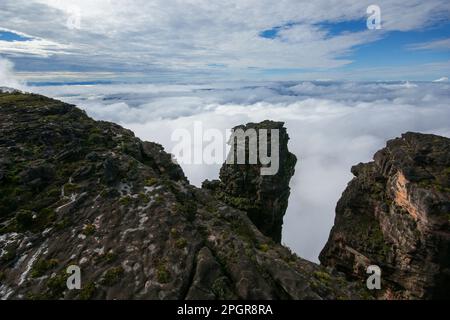 Steile und erodierte schwarze Sandsteinsäulen am Rand von Auyan tepui, Venezuela Stockfoto