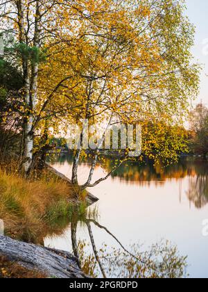 Eine atemberaubende Herbstszene in Schweden, mit ruhigem See, das die baumbedeckten Hügel widerspiegelt, und goldenen Blättern, die in einem wolkenlosen Himmel tanzen. Stockfoto