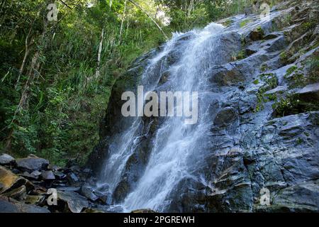 Nahaufnahme des Nakalitkalit Wasserfalls in El Nido, Palawan auf den Philippinen, der über schwarze Felsen fließt, umgeben von Regenwald. Stockfoto
