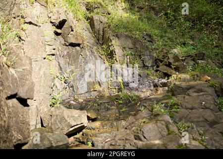 Graue, sonnenbeleuchtete Felsen mit Pflanzen in El Nido, Palawan auf den Philippinen. Stockfoto