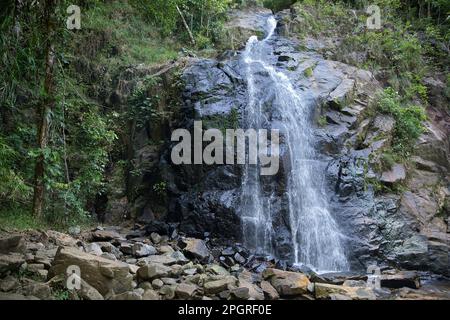 Nahaufnahme des Nakalitkalit Wasserfalls in El Nido, Palawan auf den Philippinen, der über schwarze Felsen fließt, umgeben von Regenwald. Stockfoto