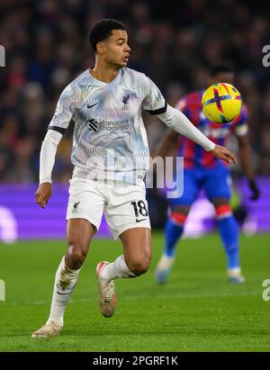 London, Großbritannien. 25. Februar 2023. 25. Februar 2023 - Crystal Palace V Liverpool - Premier League - Selhurst Park Cody Gakpo in Liverpool während des Premier League-Spiels gegen Crystal Palace. Bildkredit: Mark Pain/Alamy Live News Stockfoto