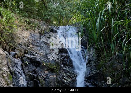 Nahaufnahme des Nakalitkalit Wasserfalls in El Nido, Palawan auf den Philippinen, der über schwarze Felsen fließt, umgeben von Regenwald. Stockfoto