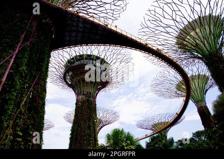 Singapur City, Singapur - 12. April 2019: Supertree Grove at the Gardens by the Bay Stockfoto