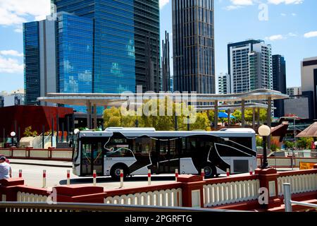 Perth, Australien - 20. November 2021: Der Perth Central Area Transit (CAT)-Bus Stockfoto