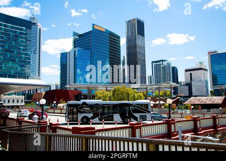 Perth, Australien - 20. November 2021: Der Perth Central Area Transit (CAT)-Bus Stockfoto