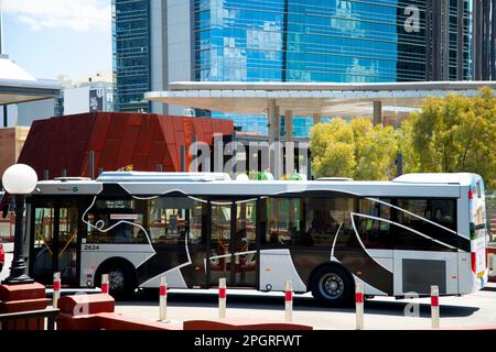 Perth, Australien - 20. November 2021: Der Perth Central Area Transit (CAT)-Bus Stockfoto