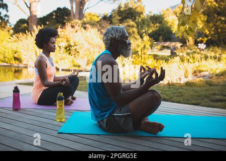 afroamerikanisches Seniorenpaar, das Yoga im Garten praktiziert Stockfoto