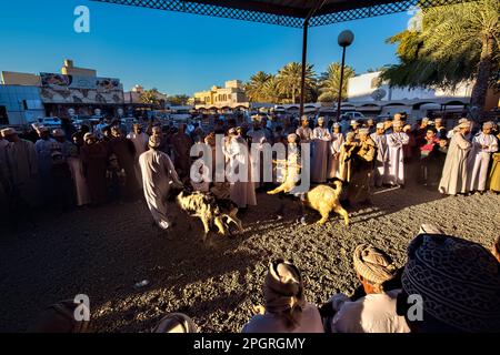 Szenen vom Freitagsziegenmarkt, Nizwa, Oman Stockfoto