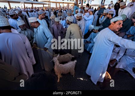 Szenen vom Freitagsziegenmarkt, Nizwa, Oman Stockfoto