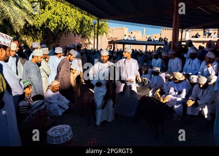 Szenen vom Freitagsziegenmarkt, Nizwa, Oman Stockfoto