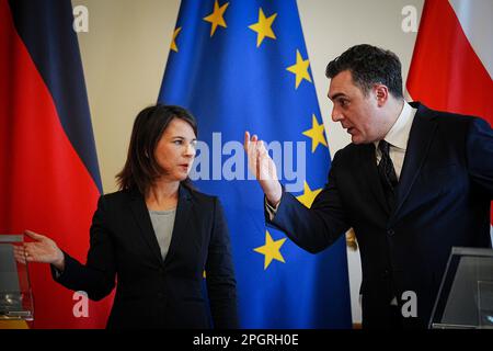 Tiflis, Georgia. 24. März 2023. Die Außenministerin Annalena Baerbock (Bündnis 90/die Grünen) und die Außenministerin Georgiens Ilia Darchiaschwili geben eine Pressekonferenz. Das Thema der Gespräche war der Krieg in der Ukraine und der Beitritt Georgiens zur EU. Kredit: Kay Nietfeld/dpa/Alamy Live News Stockfoto