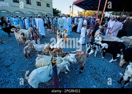 Szenen vom Freitagsziegenmarkt, Nizwa, Oman Stockfoto