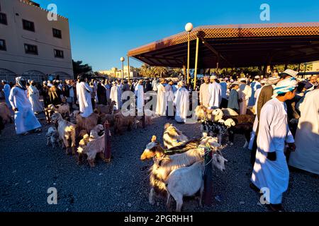 Szenen vom Freitagsziegenmarkt, Nizwa, Oman Stockfoto