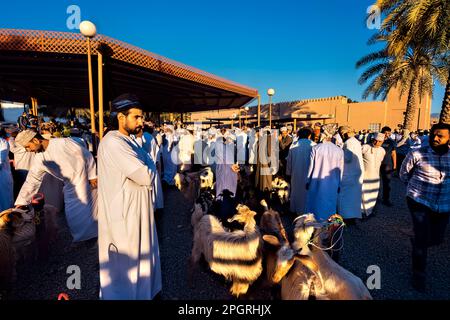 Szenen vom Freitagsziegenmarkt, Nizwa, Oman Stockfoto