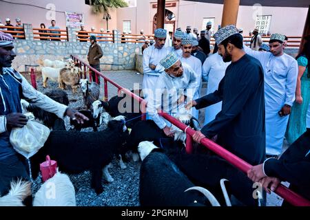 Szenen vom Freitagsziegenmarkt, Nizwa, Oman Stockfoto