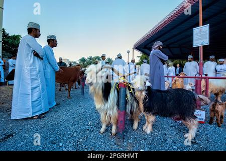 Szenen vom Freitagsziegenmarkt, Nizwa, Oman Stockfoto