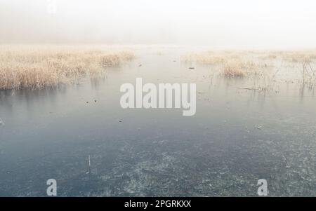 Welches Meadow, Leamington Spa, Warwickshire, England, Großbritannien. Ein überflutetes Wiesen-Naturschutzgebiet am Fluss Leam an einem nebligen Wintermorgen. Stockfoto