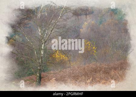 Ein digitales Aquarellgemälde mit Sonnenaufgang und goldenen Herbstfarben an den Downs Banks, Barlaston, Staffordshire, Großbritannien. Stockfoto