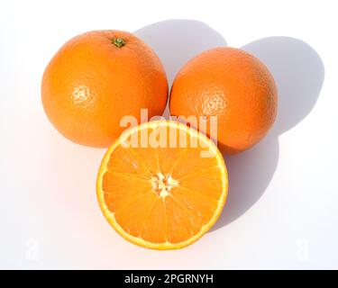 Orangenbaum, Citrus sinensis, ist eine exotische Frucht, die auch als Duftgeber verwendet wird. Orange, Baum, Citrus sinensis, ist ein Exot Stockfoto