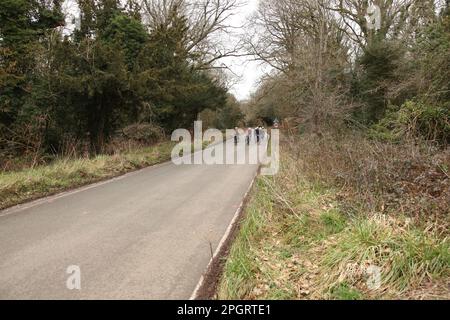 Radfahrer fahren auf der Zickzack Road am National Trust Box Hill, Surrey Hills, Tadworth, Dorking, Surrey, England, Großbritannien, 2023 Stockfoto