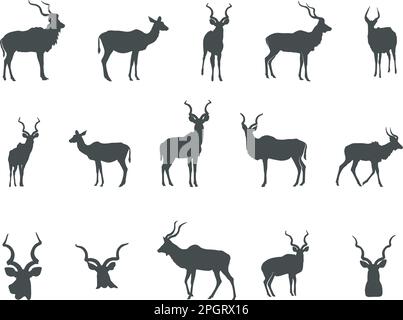Kudu Silhouette, Kudu Horn Silhouette, Antlers Silhouette, Kudu Head, Kudu SVG, Silhouetten Von Kudu Head Stock Vektor