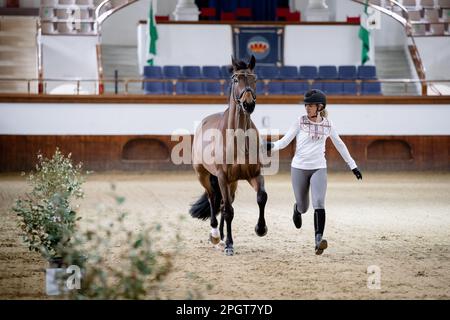 Königliche andalusische Reitschule, Jerez de la Frontera, Spanien. 24. März 2022. Morgan Barbancon Mestre (FRA) mit Bolero während der Vet che Stockfoto
