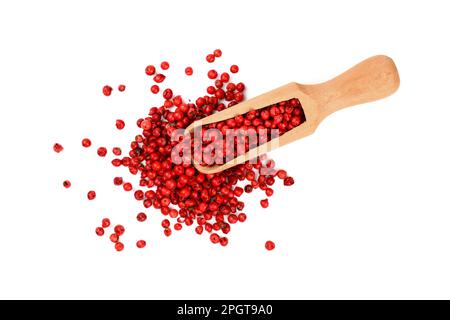 Nahaufnahme einer Holzschaufel voller roter Pfefferkörner, die verschüttet und verteilt wurden, isoliert auf weißem Hintergrund, erhöhte Draufsicht, direkt über dem Hotel Stockfoto