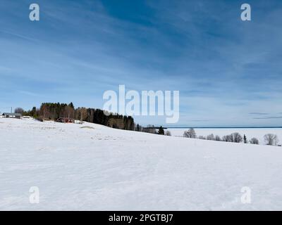 Winterlandschaft mit Schnee und hellblauem Himmel in Jämtland, Schweden Stockfoto
