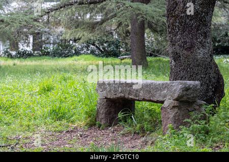 Granitsteinbank in einem grünen Garten im Frühling Stockfoto