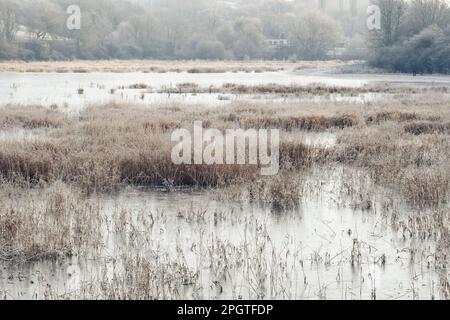 Ein gefrorener See in Welches Meadow, einem überfluteten Wiesen-Naturschutzgebiet am Fluss Leam. Stockfoto