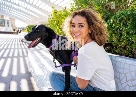 Fröhliche, lockige Frau mit ihrem Hund, die im Sommerpark spielt Stockfoto