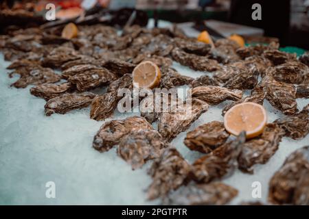 Austern liegen auf dem Ladentisch auf Eis. Austern zum Verkauf auf dem Fischmarkt. Frische Austern selektiver Fokus. Nahaufnahme. Stockfoto