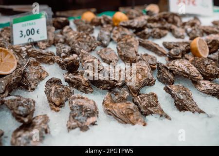 Austern liegen auf dem Ladentisch auf Eis. Austern zum Verkauf auf dem Fischmarkt. Frische Austern selektiver Fokus. Nahaufnahme. Stockfoto