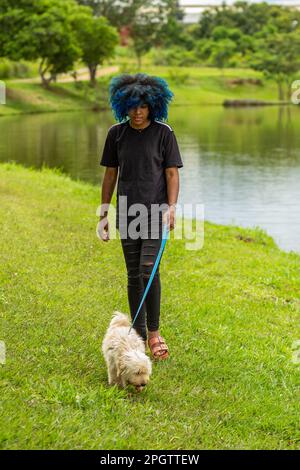 Goiania, Goias, Brasilien – 20. März 2023: Eine junge schwarze Frau mit blau gefärbtem Afrohaar, die mit einem Hund auf dem Rasen neben einem Teich im Park spaziert. Stockfoto