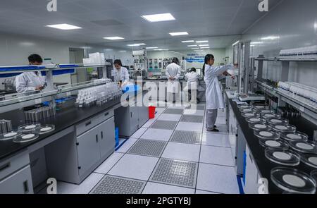 (230324) -- HANGZHOU, 24. März 2023 (Xinhua) -- Techniker arbeiten in der Basis Jiaxing von Satellite Chemical Co., Ltd. In der Provinz Zhejiang im Osten Chinas, 23. März 2023. Privatunternehmen in Zhejiang, die sich auf die Industrie- und digitale Wirtschaft konzentrieren, haben sich in den letzten Jahren um die Weiterentwicklung der verarbeitenden Industrie bemüht. Die Zahl der registrierten Privatunternehmen und selbständigen Haushalte in der Provinz erreichte 2022 3,08 Millionen bzw. 6,04 Millionen. In der Liste der 500 größten privaten Unternehmen Chinas rangiert die Gesamtzahl der Unternehmen in Zhejiang an erster Stelle Stockfoto