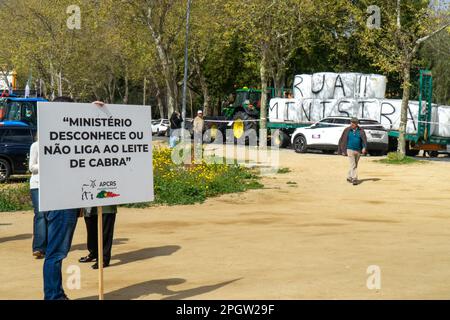 Evora, Portugal, 24. März 2023. Manifestation portugiesischer Bauern in Evora Alentejo mit einer riesigen Traktorsäule, die den Verkehr in der Stadt vollständig stoppte. Die Bauern haben sich sogar den Weg hineingedrängt Stockfoto