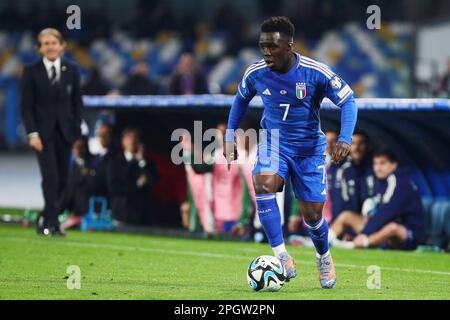 Neapel, Italie. 23. März 2023. Wilfried Gnonto aus Italien in Aktion während der UEFA Euro 2024, Europäische Qualifikatoren, Fußballspiel der Gruppe C zwischen Italien und England am 23. März 2023 im Stadio Diego Armando Maradona in Neapel, Italien - Photo Federico Proietti/DPPI Credit: DPPI Media/Alamy Live News Stockfoto