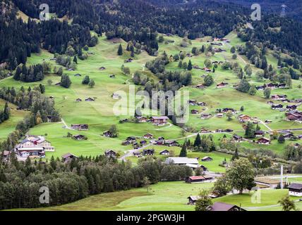 Wunderschönes Grindelwalddorf mit traditionellen Chalets im grünen Tal in den Schweizer Alpen Stockfoto