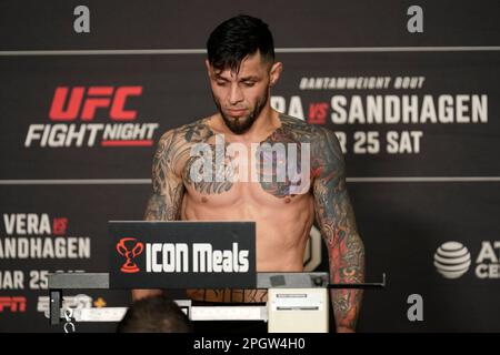SAN ANTONIO, TX, USA. 24. März 2023. SAN ANTONIO, TX - 24. März: Daniel Pineda betritt die Waage für die offiziellen Wiegevorgänge im Westin San Antonio North für die UFC Fight Night - Vera vs Sandhagen - Wiegeversuche am 24. März 2023 in SAN ANTONIO, USA. (Kreditbild: © Louis Grasse/PX Imagens via ZUMA Press Wire) NUR REDAKTIONELLE VERWENDUNG! Nicht für den kommerziellen GEBRAUCH! Stockfoto