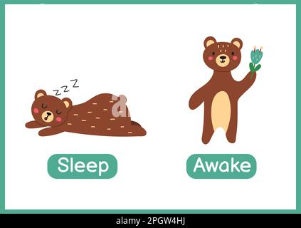 "Schlafen und wach"-Karteikarte mit gegensätzlichen Adjektiven Stock Vektor