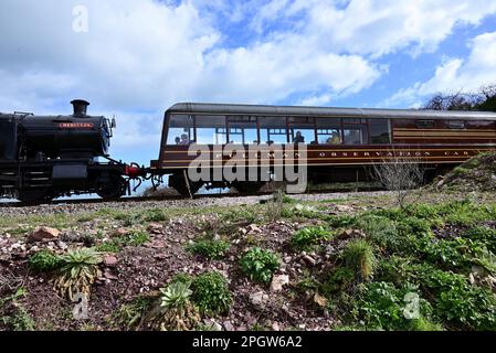Devon Belle Pullman Aussichtsplattform Nr. 13, vorbei an Goodrington mit der Dartmouth Steam Railway, die mit dem GWR-Panzer Nr. 4277 Hercules nach Paignton gebracht wird. Stockfoto