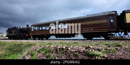 Devon Belle Pullman Aussichtsplattform Nr. 13, vorbei an Goodrington mit der Dartmouth Steam Railway, die mit dem GWR-Panzer Nr. 4277 Hercules nach Paignton gebracht wird. Stockfoto