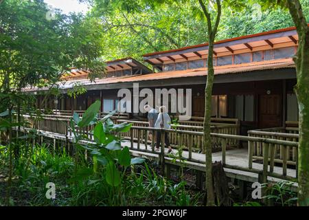 Tortuguero Nationalpark, Costa Rica - Evergreen Lodge, ein Hotel im Küstenregenwald. Stockfoto