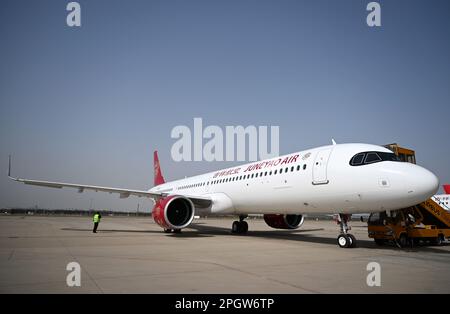 (230324) -- TIANJIN, 24. März 2023 (Xinhua) -- Dieses Foto wurde am 24. März 2023 aufgenommen und zeigt das erste in China zusammengebaute A321neo-Flugzeug in Nordchina Tianjin. Der europäische Flugzeughersteller Airbus hat mit der Auslieferung von A321neo Flugzeugen begonnen, die in seiner FALA-Anlage (Final Assembly Line Asia) am Tianjin Friday in Nordchina montiert wurden. Das erste in China montierte A321neo-Flugzeug wurde an Juneyao Air in Shanghai geliefert. Airbus begann im November 2022 mit der Produktion von Flugzeugen der Serie A321 in der FALA-Anlage. FALA baut jetzt alle Mitglieder der Airbus A320neo-Familie der Eingangflugzeuge Su zusammen und liefert sie aus Stockfoto