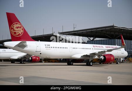 (230324) -- TIANJIN, 24. März 2023 (Xinhua) -- Dieses Foto wurde am 24. März 2023 aufgenommen und zeigt das erste in China zusammengebaute A321neo-Flugzeug in Nordchina Tianjin. Der europäische Flugzeughersteller Airbus hat mit der Auslieferung von A321neo Flugzeugen begonnen, die in seiner FALA-Anlage (Final Assembly Line Asia) am Tianjin Friday in Nordchina montiert wurden. Das erste in China montierte A321neo-Flugzeug wurde an Juneyao Air in Shanghai geliefert. Airbus begann im November 2022 mit der Produktion von Flugzeugen der Serie A321 in der FALA-Anlage. FALA baut jetzt alle Mitglieder der Airbus A320neo-Familie der Eingangflugzeuge Su zusammen und liefert sie aus Stockfoto